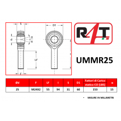 UMMR25